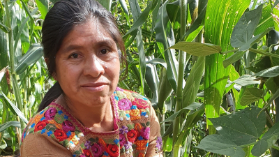 Doña Reyna har fått starthjelp av AMMID til å kjøpe husdyr og fått agronomisk opplæring. AMMID er en forkortelse som kan oversettes til «Sammenslutningen av Maya-Mam for fremme av utvikling». AMMID er en av Utviklingsfondets lokale samarbeidspartnere i Guatemala. Foto: Cesilie Aurbakken.
