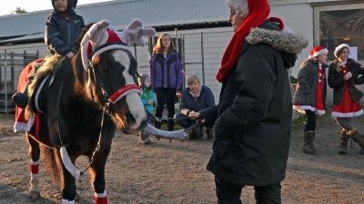 Ponniridning er gøy