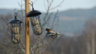 Foto: Helle Cecilie Berger