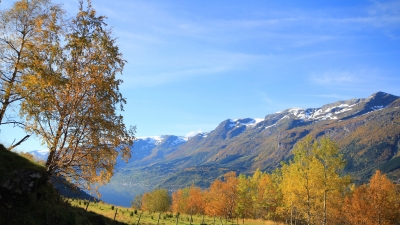 Sørfjorden i haustfargar