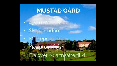Vardal Bygdekvinnelags adventsmøte