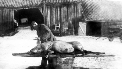 Illustrasjonsfoto: Fra Østfold fylkes billedarkiv.