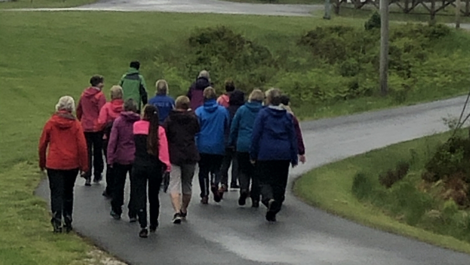 I godt driv... Bli kven på Feed