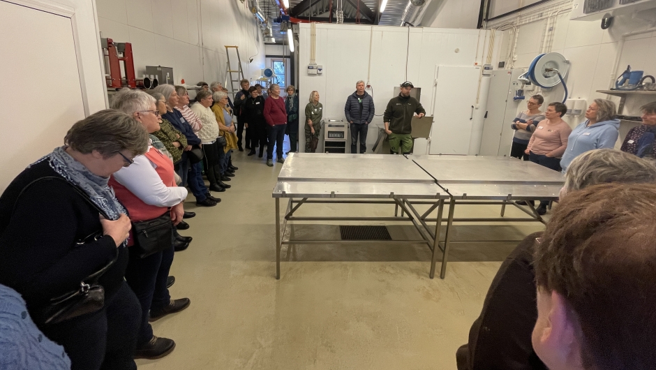 Omvisning i slakteriet Omvisning i slakteriet