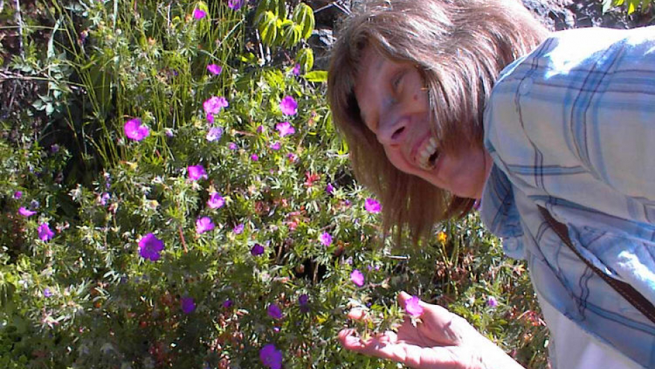 Tid for å kjøpe sommerblomster