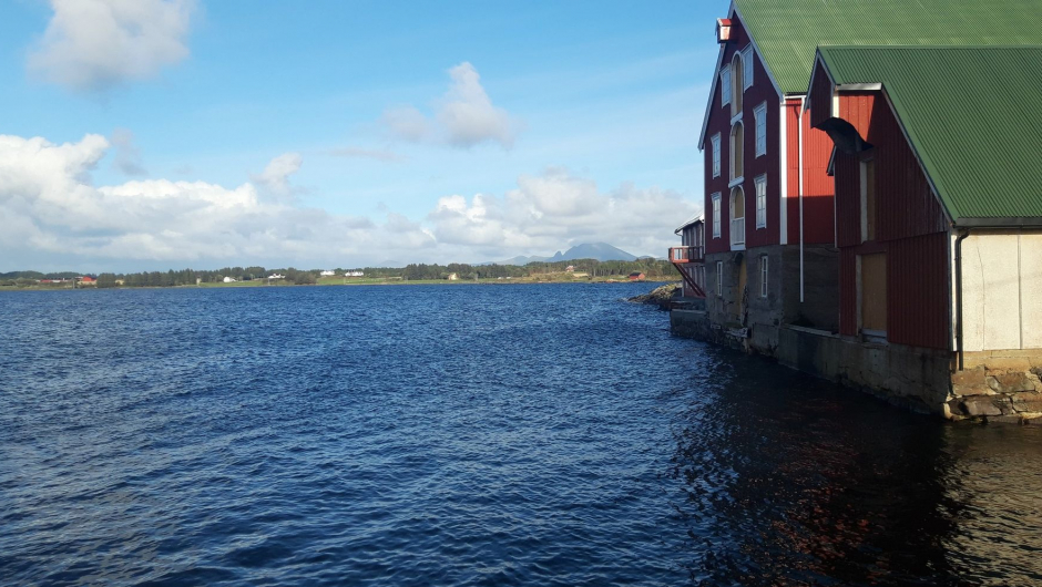 Røssøyvågen