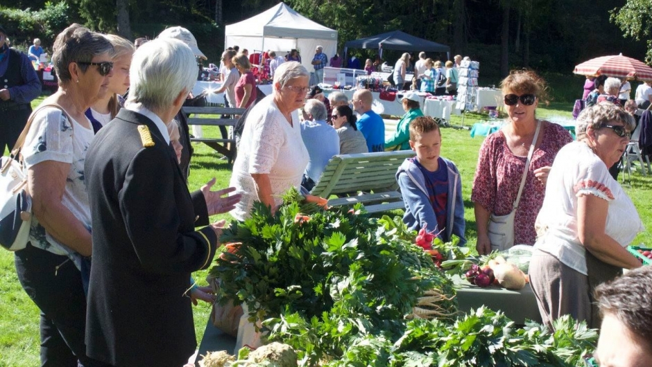 Grønnsaker til salgs