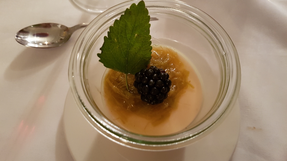 Pannacotta med rabarbarakompott.