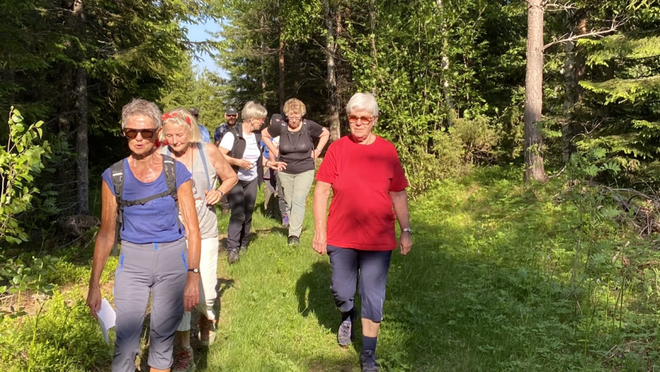 Langs gamle Rajeseterveien