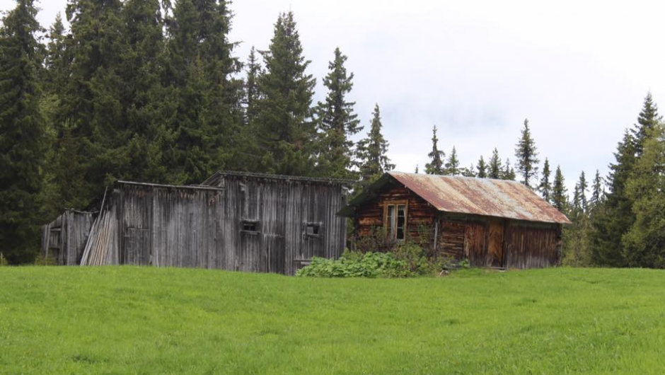 De sprekeste kom seg oppå Sigridset :) De sprekeste kom seg oppå Sigridset :)