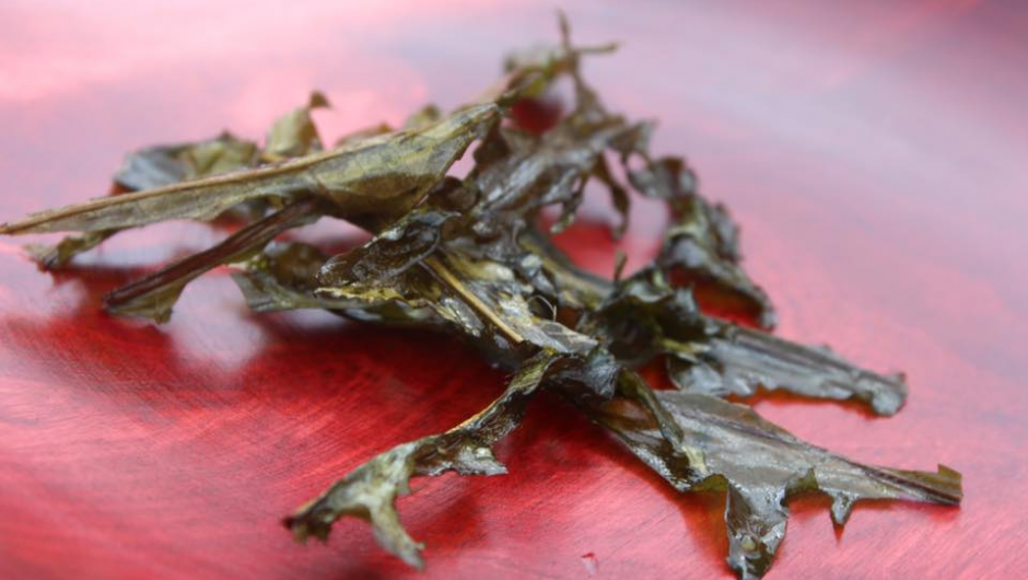 Chips av løvetannblader ! Chips av løvetannblader !