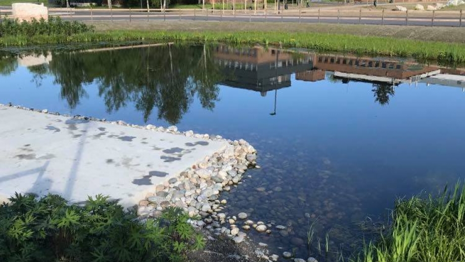 Den nye delen av parken