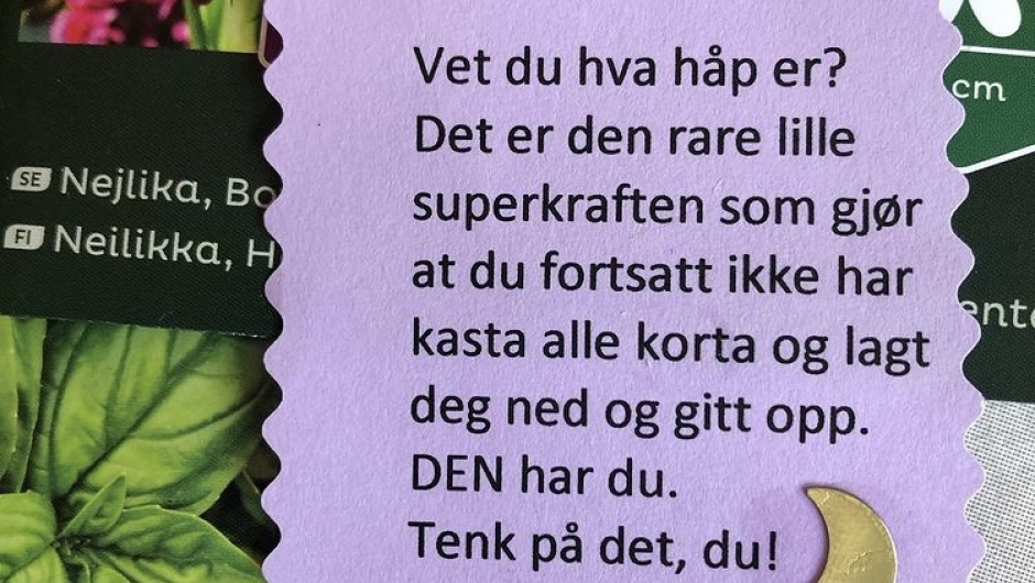 Tilbakemelding fra medlem