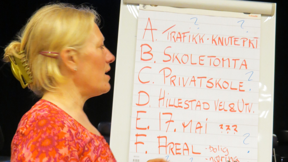 Møteleder Trine Steen