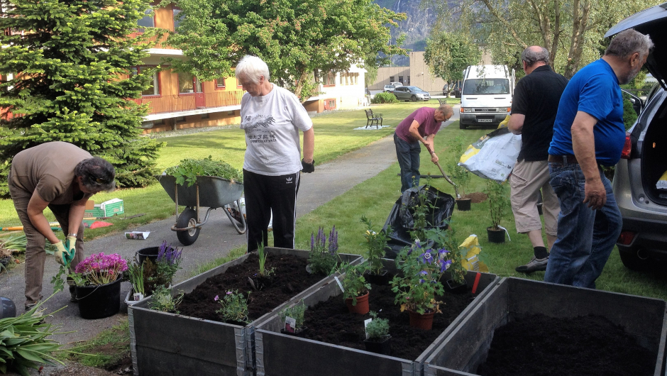 Plantedugnad. Plantedugnad.