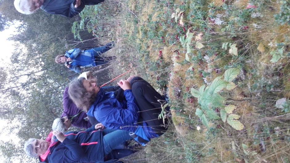 Til og med markjordbær i slutten av september!