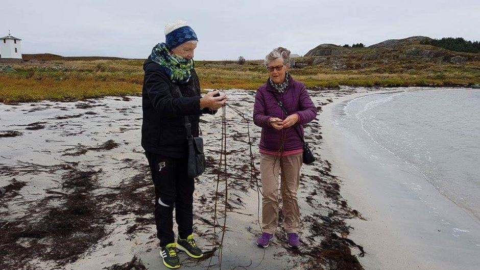 Strandtur på Ona Strandtur på Ona