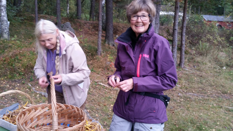 Ada Koller Hagness og Eva Krogvig - ordner traktkantareller!