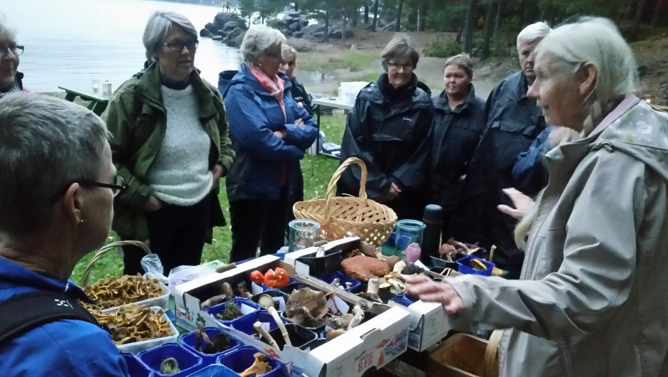 Ada kan sitt fag - kunnskapsrik foreleser!