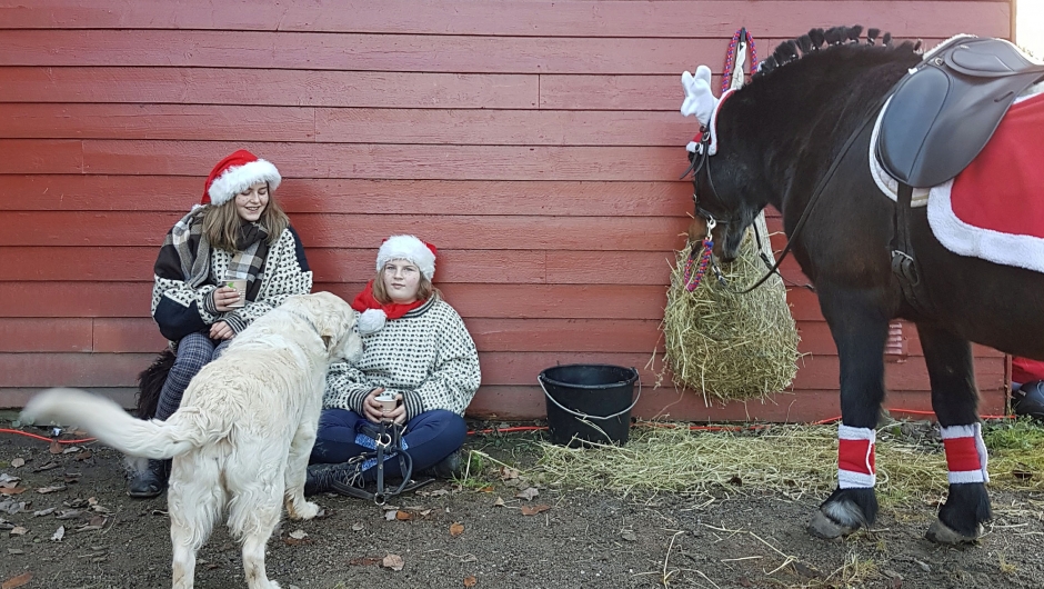 Gårdshunden, ponni og nissejentene må ta en pust i bakken Gårdshunden, ponni og nissejenter må ta en pust i bakken