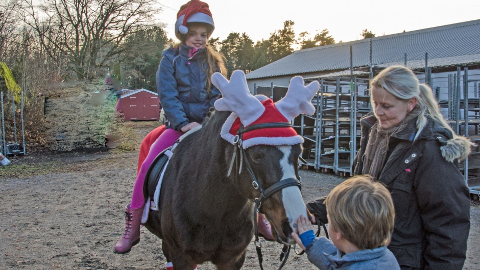 Monty-ponni har pynta seg i julestasen og Trine Brekke tar barna med på en ridetur Ponniridning for barna er populært