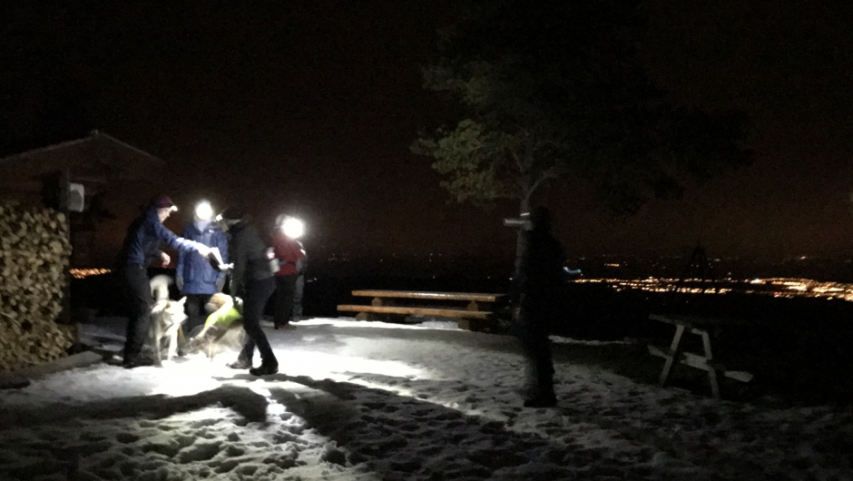 Utsikt fra Bukkhaugen