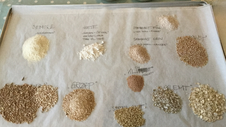 Forskjellige kornsorter.