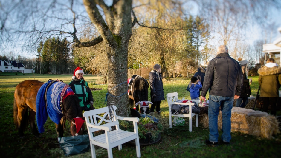 Ponni og hest er et fint innslag på et marked Ponni og hest er et fint innslag på et marked
