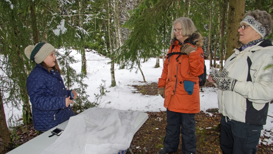 Kims lek, kan du huske alle tingene under teppe? Kims lek, kan du huske alle tingene under teppe?