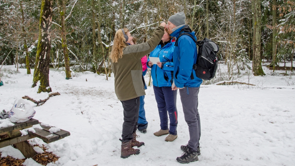 Gjett hva det smaker, søtt, surt eller salt? Gjett hva det smaker, søtt, surt eller salt?