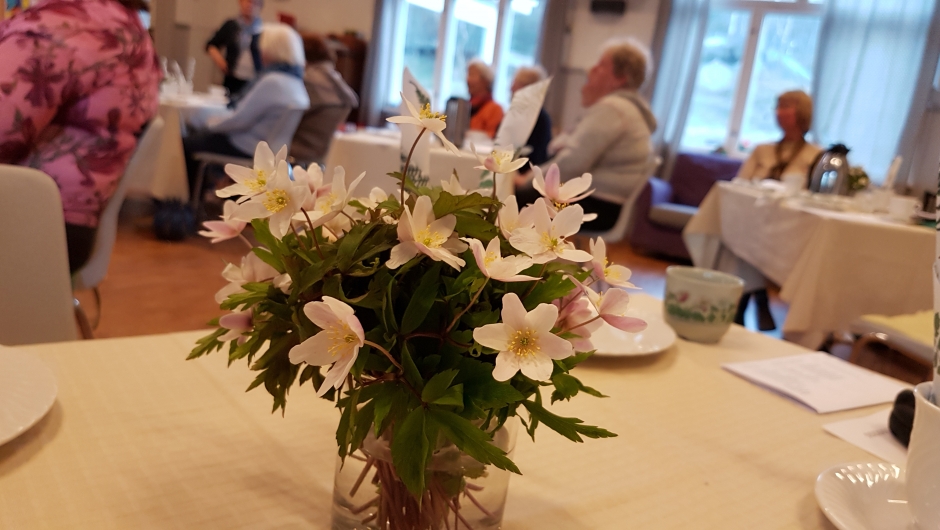 Bygdedamer blant hvitveisbuketter Bygdedamer blant hvitveisbuketter