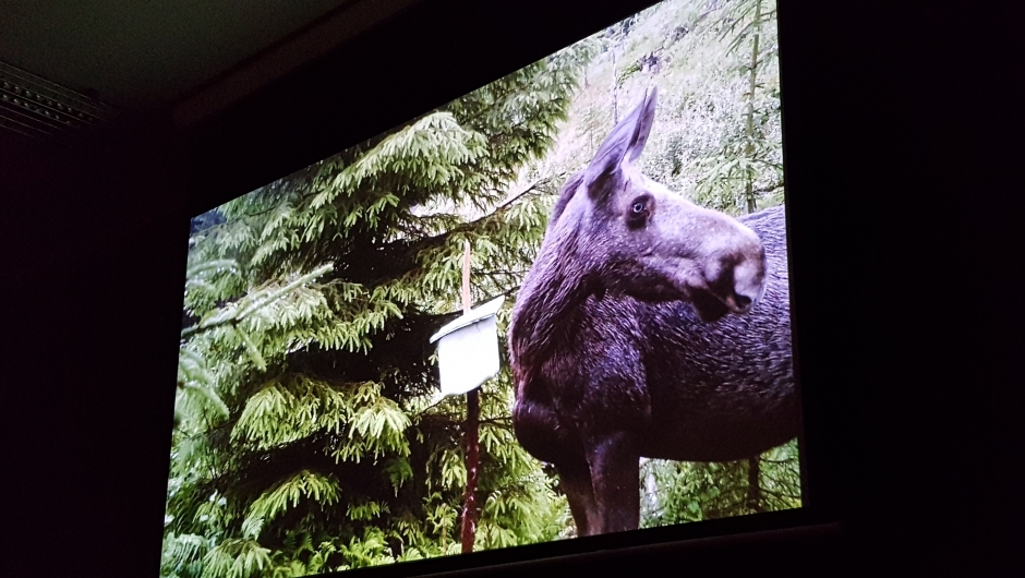 Bilder fra tv-serien "Helt Naturlig". Bilder fra tv-serien "Helt Naturlig".