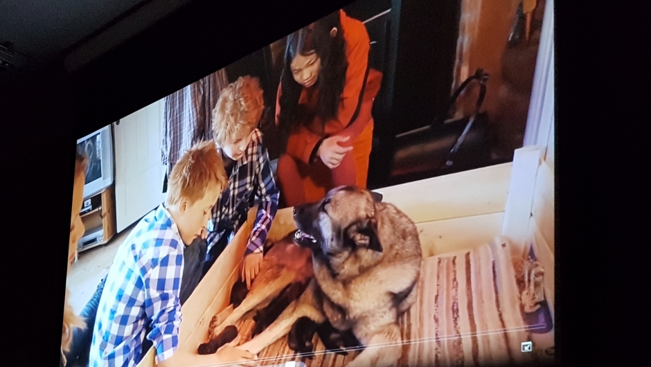 Bilder fra tv-serien "Helt Naturlig". Bilder fra tv-serien "Helt Naturlig".