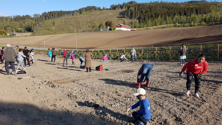 Stor aktivitetet - alle kvinner i arbeid!