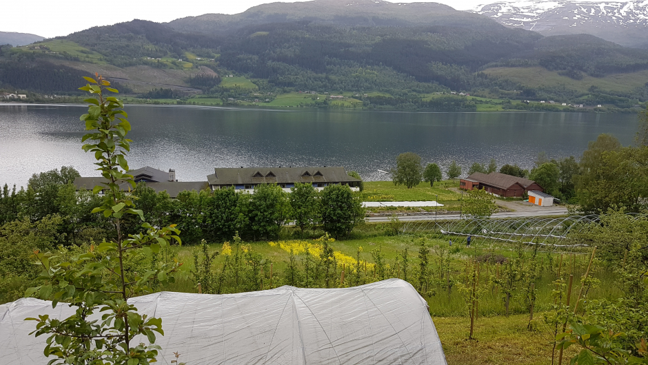 Utsikt mot Vandrarheimem, som høyrer til Finnegarden foto: Aud-Marit Netteland Utsikt mot Vandrarheimen, som høyrer til Finnegarden foto: Aud-Marit Netteland