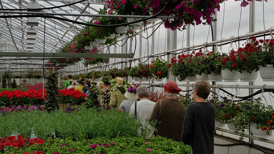 Så masse flotte blomster