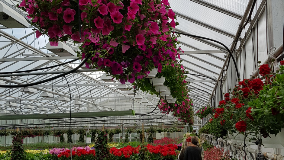 Tusen takk til Eik gartneri for at vi fikk sommer avslutting nettop her med dere