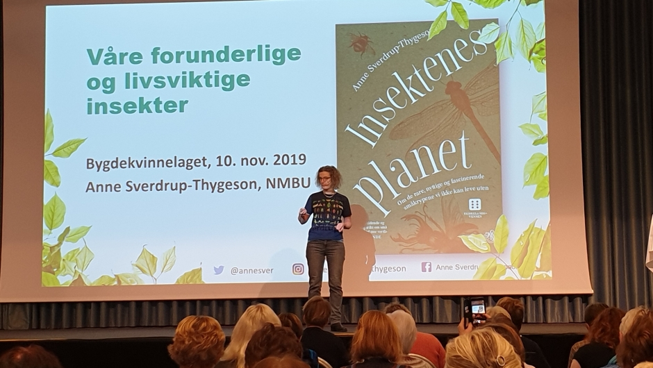 Professor i bevaringsbiologi Anne Sverdrup-Thygeson. Foto: M.Hauso Professor i bevaringsbiologi Anne Sverdrup-Thygeson. Foto: M.Hauso