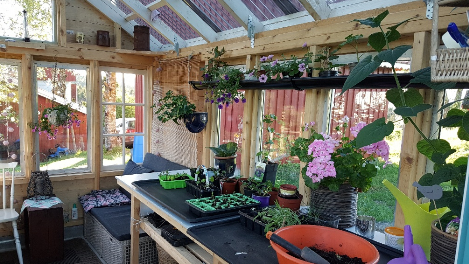 Trivelig i orangeriet. Foto: IHK