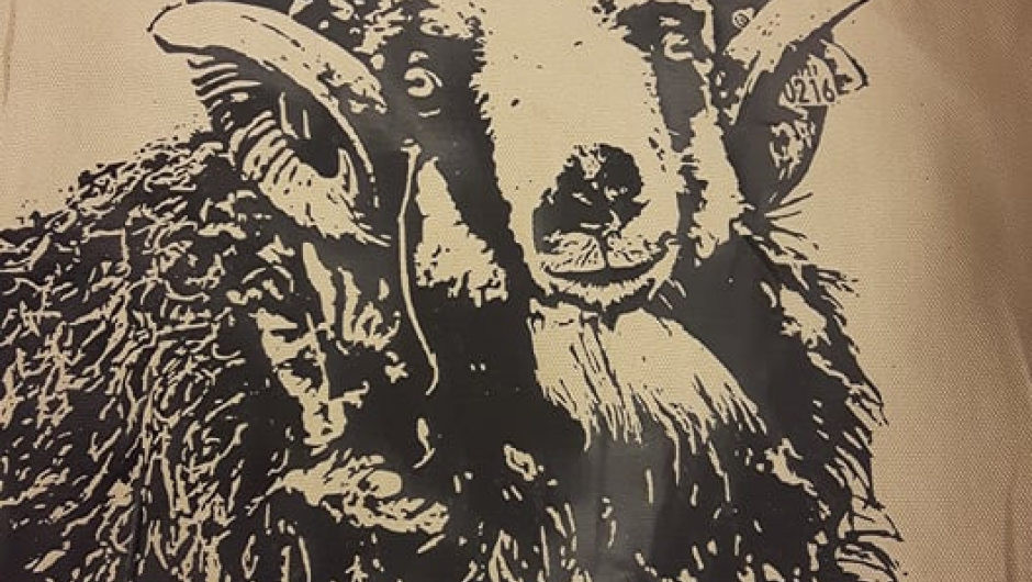 Vinyltrykk. Foto: Caroline MF