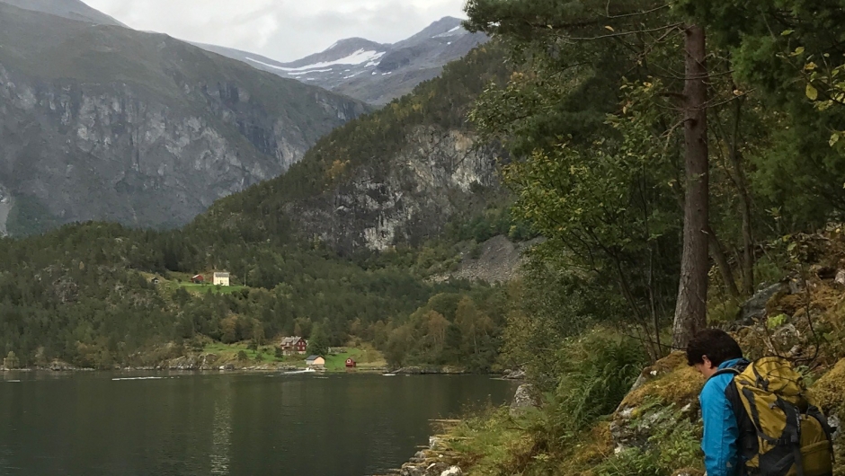 Osvika i sikte! Osvika i sikte!