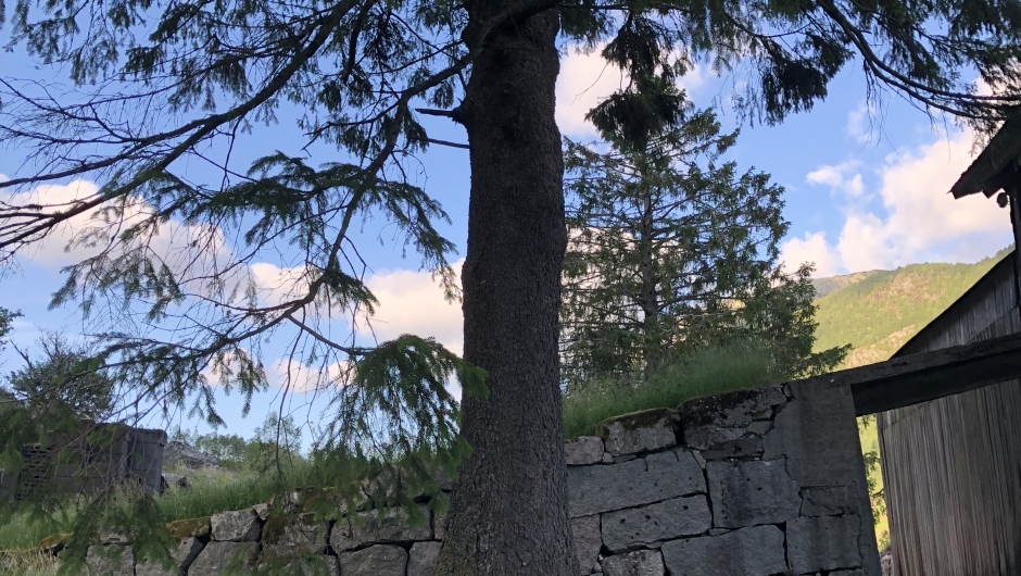 Gammal låvetråpp Liland