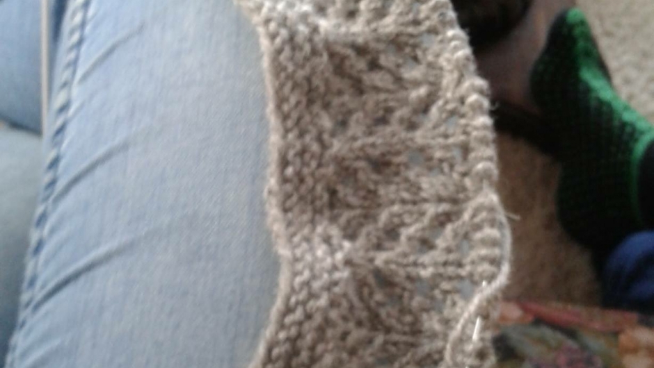 Nylig påbegynt genser?