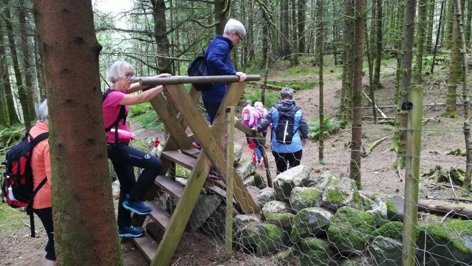 Lett å komma over steigardane. Ser du den fine hekla pynten på gjerdet? Lett å komma over steigardane. Ser du den fine hekla pynten på gjerdet?