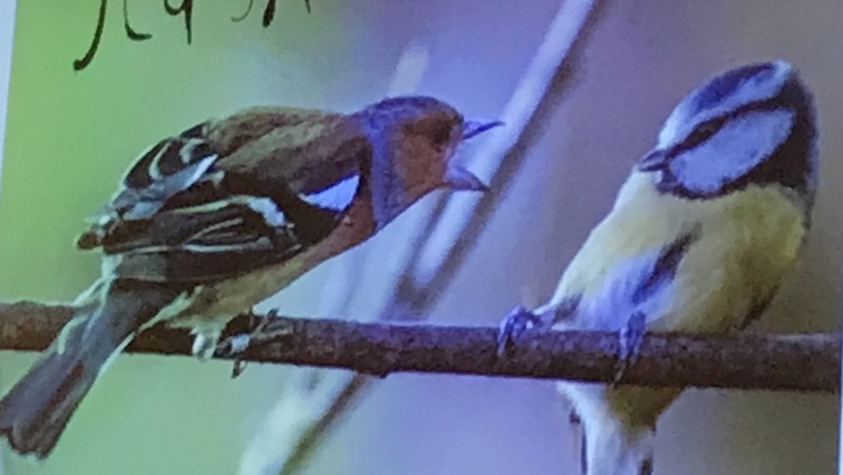 1 m avstand er viktig!