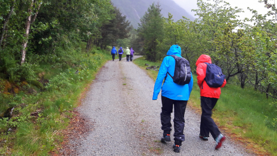 Oppover skogsvegen på Ringøy i ausande regn.