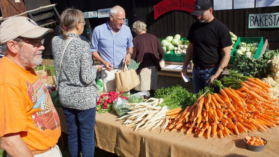 Reidvin-tunet sto for grønnsakslaget i år. Fint - og nyttig med samarbeide.