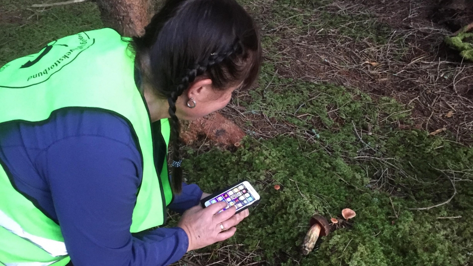 Kari Janne var med oss som soppkontrollør og fann sjelden sopp! Kari Janne var med oss som soppkontrollør og fann sjelden sopp!