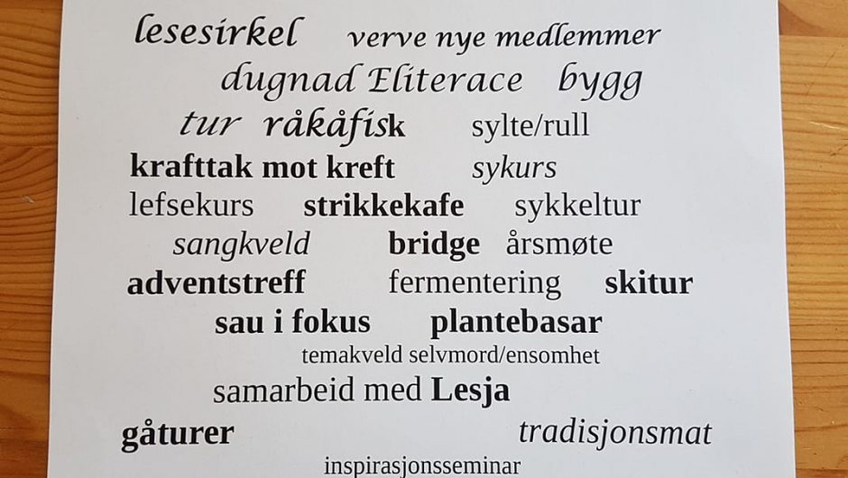 Aktiviteter i Lesjaskog BK