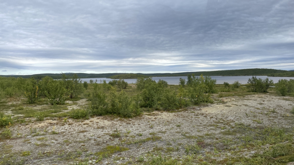 Vidda mellom Kautokeino og Karasjok Vidda mellom Kautokeino og Karasjok